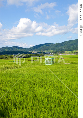 韓国 風景 自然 36545466