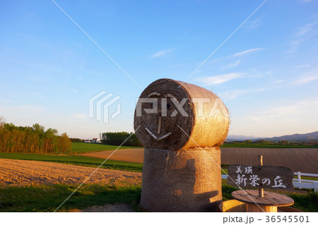 美瑛 風景 美瑛 風景 36545501