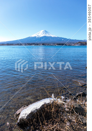 富士山(2月　河口湖　晴れ) 36546007