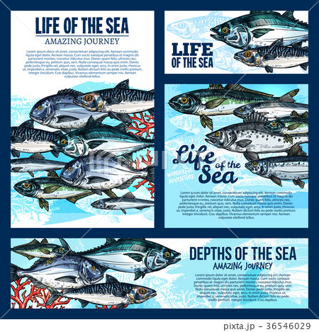Sea life banner with fish and ocean animal sketch Sea life banner with fish and ocean animal sketch 36546029