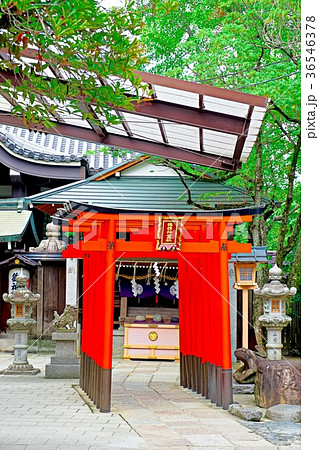 石切神社 36546378