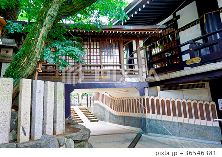 石切神社 石切神社 36546381