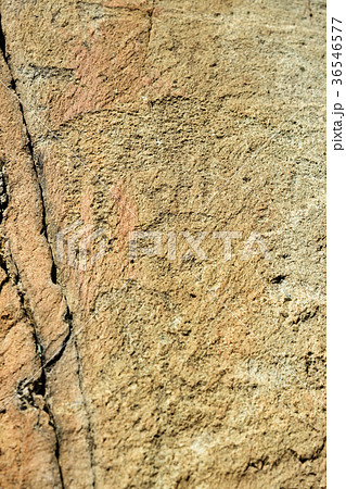 Ancient petroglyphs rock carvings on stones. Altai 36546577
