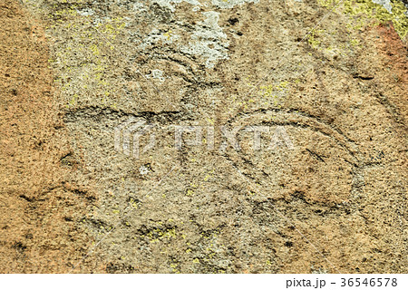 Ancient petroglyphs rock carvings on stones. Altai Ancient petroglyphs rock carvings on stones. Altai 36546578