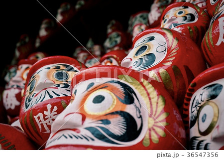 勝尾寺　勝ちダルマ 36547356