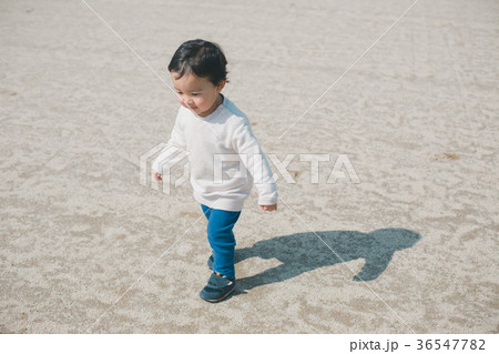 2 years old 2 years old 36547782