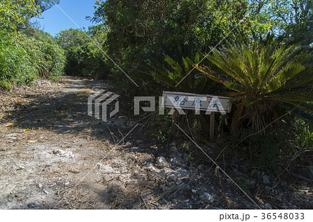 船原浜(ふなばるはま) 入口 36548033