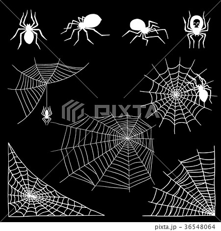 Spiders vector web silhouette spooky spider nature 36548064
