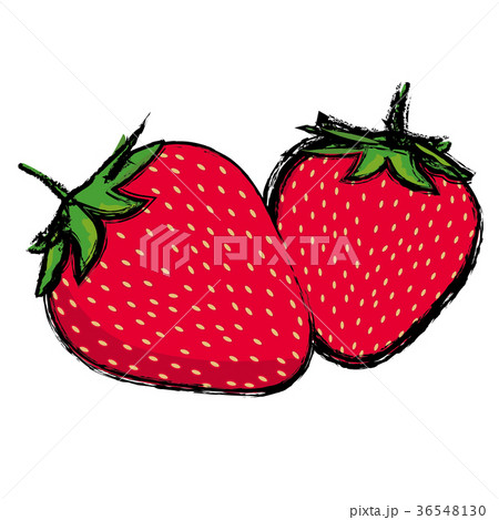 イチゴのイラスト 輪郭線有り 二粒の苺 フルーツ スイーツ 季節の果物 Strawberryのイラスト素材