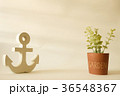 wooden anchor in minimalist style with small tree 36548367