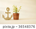 wooden anchor with tree for garden decorative 36548376