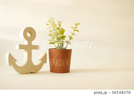 wooden anchor with tree for garden decorative 36548376