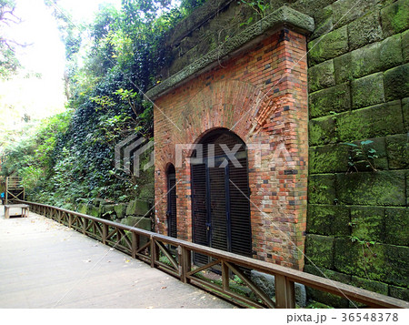 神奈川県横須賀市　猿島 36548378