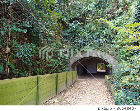 神奈川県横須賀市 猿島 神奈川県横須賀市 猿島 36548407