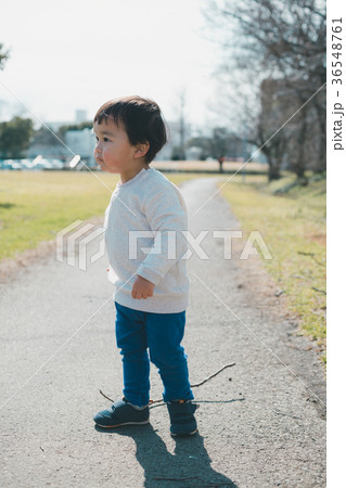 2 years old 36548761