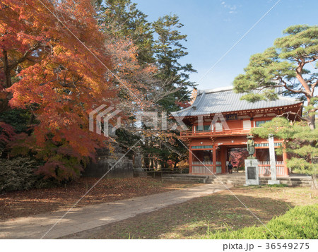 清水公園　仁王門 36549275