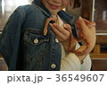 蛇を触る女性 36549607