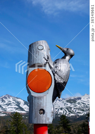 クマゲラの模型がついた視線誘導標識 36549661