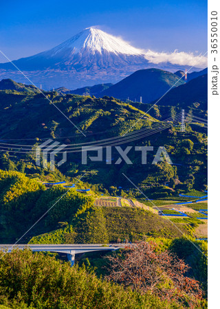 静岡の山間部から眺める、富士山 静岡の山間部から眺める、富士山 36550010