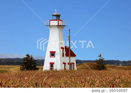 晩秋のプリンスエドワード島 36550097