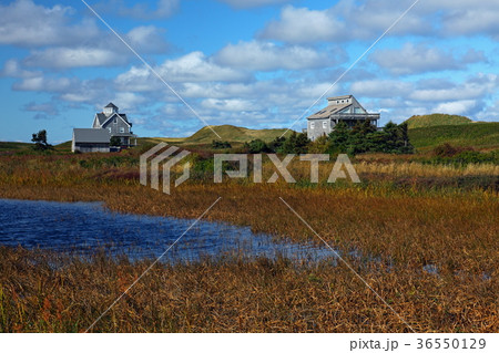 晩秋のプリンスエドワード島 晩秋のプリンスエドワード島 36550129
