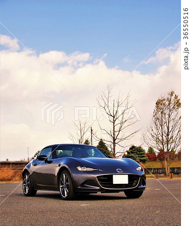 自動車イメージ マツダのスポーツカー 空バック 自動車イメージ マツダのスポーツカー 空バック 36550516