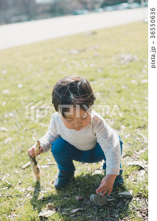 2 years old 36550636