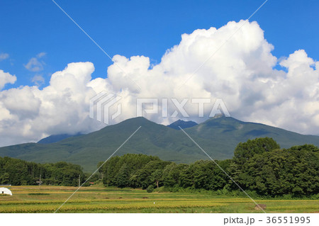 八ヶ岳と入道雲 36551995