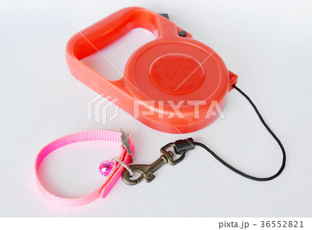 red automatic leash and pink nylon cat collar red automatic leash and pink nylon cat collar 36552821