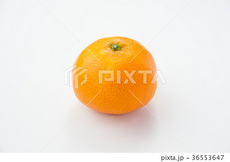 温州みかん1個 36553647