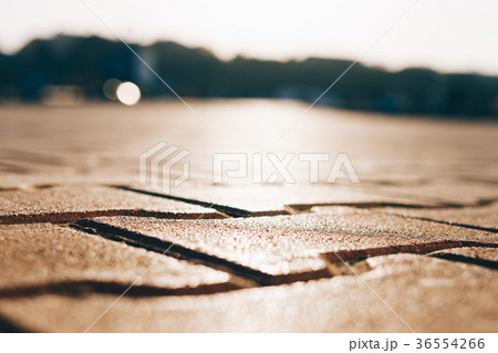 Paving tiles close-up in sunlight 36554266