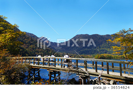 【紅葉始まり】湯の湖の風景（湯ノ湖） 36554624