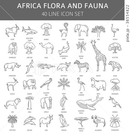 Flat African flora and fauna  elements. 36554822