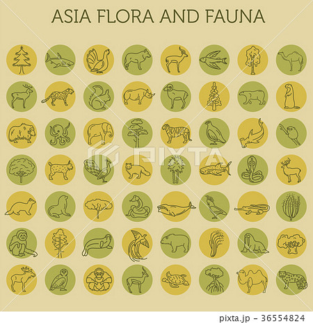Flat Asian flora and fauna  elements. 36554824