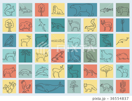 Flat North America flora and fauna  elements 36554837