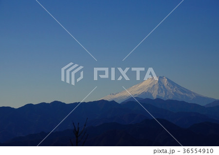 陣馬山頂からの富士山 陣馬山頂からの富士山 36554910