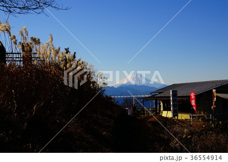 陣馬山山頂からの富士山 陣馬山山頂からの富士山 36554914