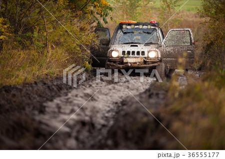 Small off road car stuck in deep mud 36555177