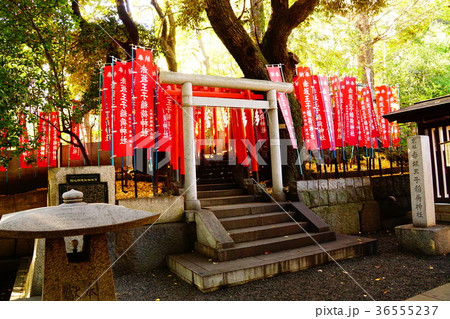 赤坂王子稲荷神社 36555237