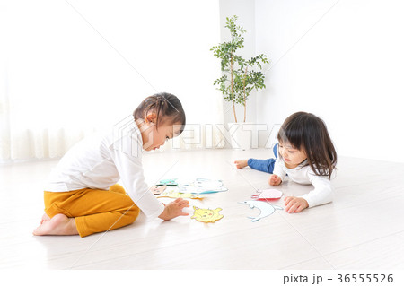 室内で遊ぶ二人の子供 室内で遊ぶ二人の子供 36555526