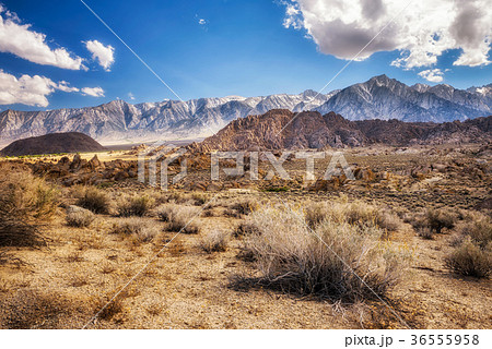 Alabama Hills in Sierra Nevada Mountains Alabama Hills in Sierra Nevada Mountains 36555958