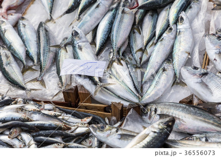 Colorful choice of fish at a market in Palermo Colorful choice of fish at a market in Palermo 36556073