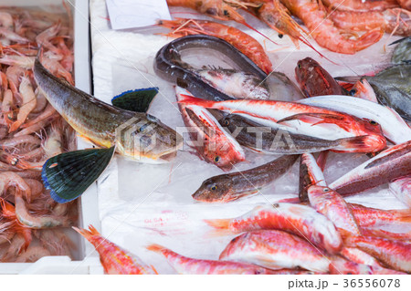 Colorful choice of fish at a market in Palermo Colorful choice of fish at a market in Palermo 36556078