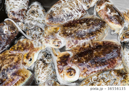 Fresh Octopuses at the fish market in Catania 36556135