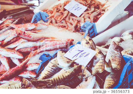 Colorful choice of fish at traditional market Colorful choice of fish at traditional market 36556373