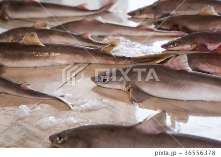 Colorful choice of fish at traditional market Colorful choice of fish at traditional market 36556378