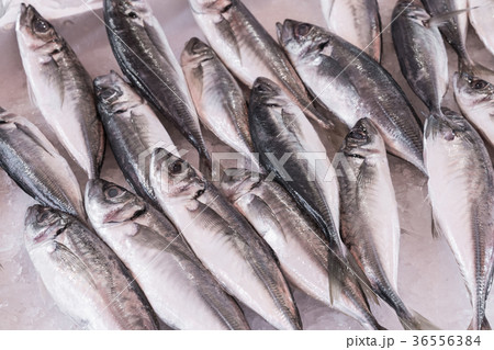 Colorful choice of fish at traditional market 36556384