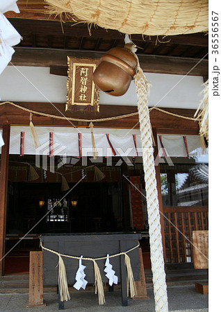 阿智神社　倉敷 36556567
