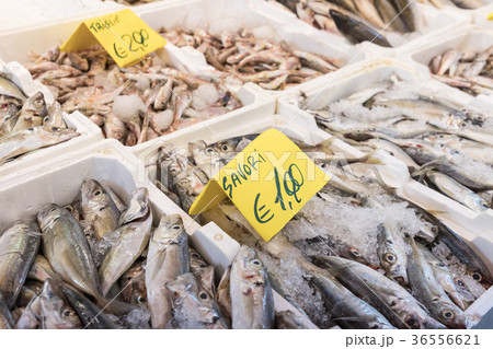 Colorful choice of fish at traditional market Colorful choice of fish at traditional market 36556621