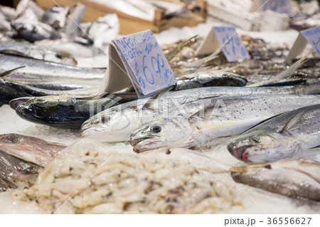 Colorful choice of fish at traditional market Colorful choice of fish at traditional market 36556627